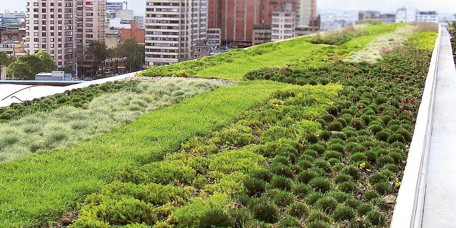 difficulties-of-green-roofs