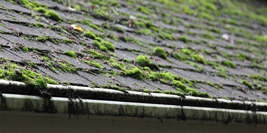 How do I get rid of moss on my roof?